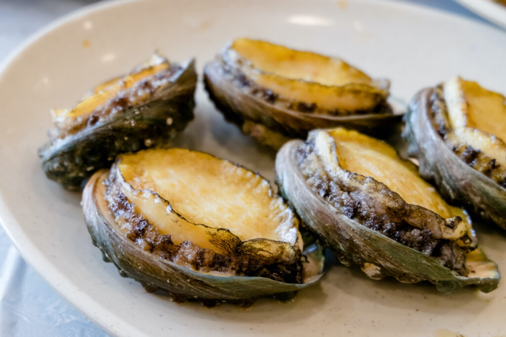 What is abalone